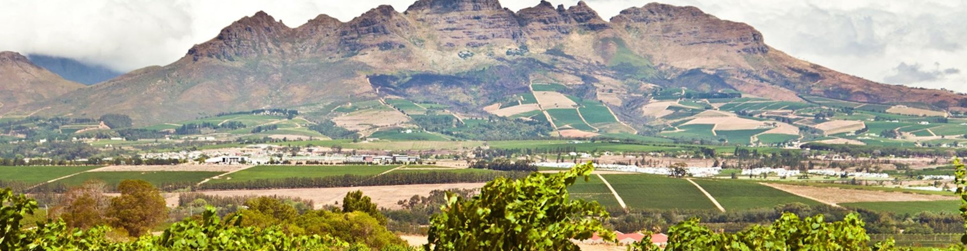Stellenbosch night skyline with parked cars
