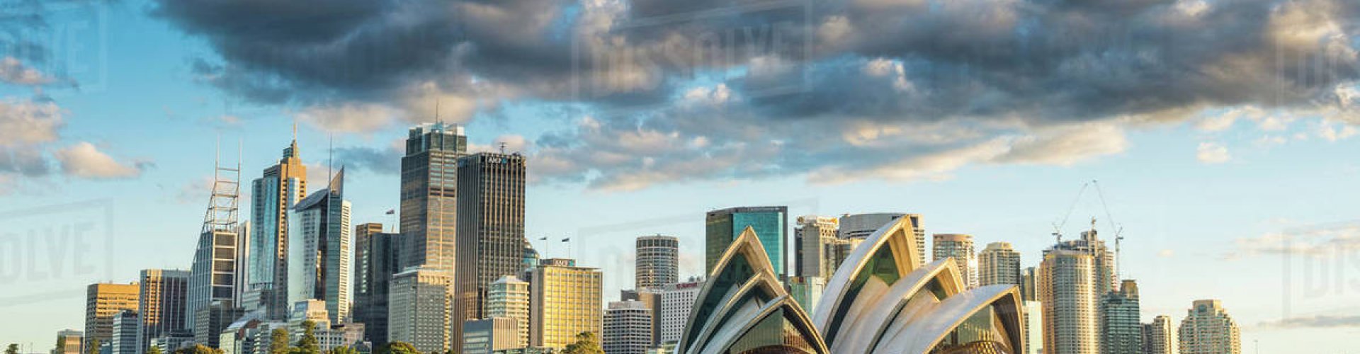 Sydney Night Skyline with Parked Cars