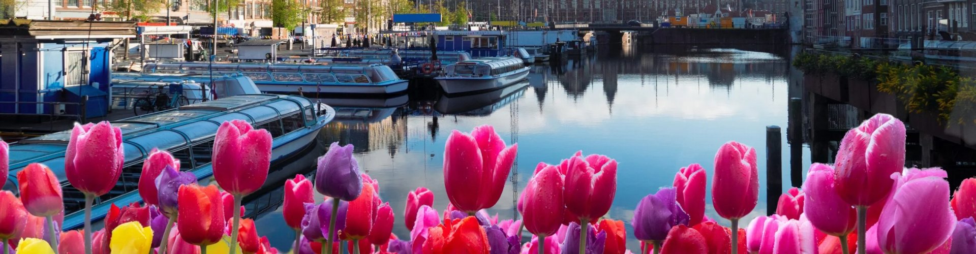 Searching for parking in Amsterdam, NL