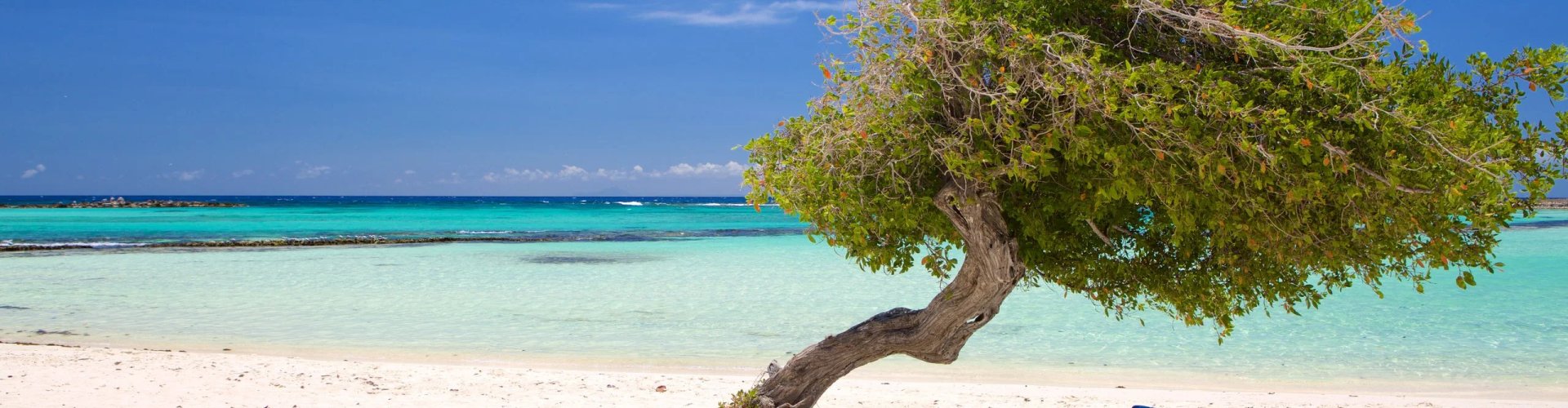 Aruba, AW