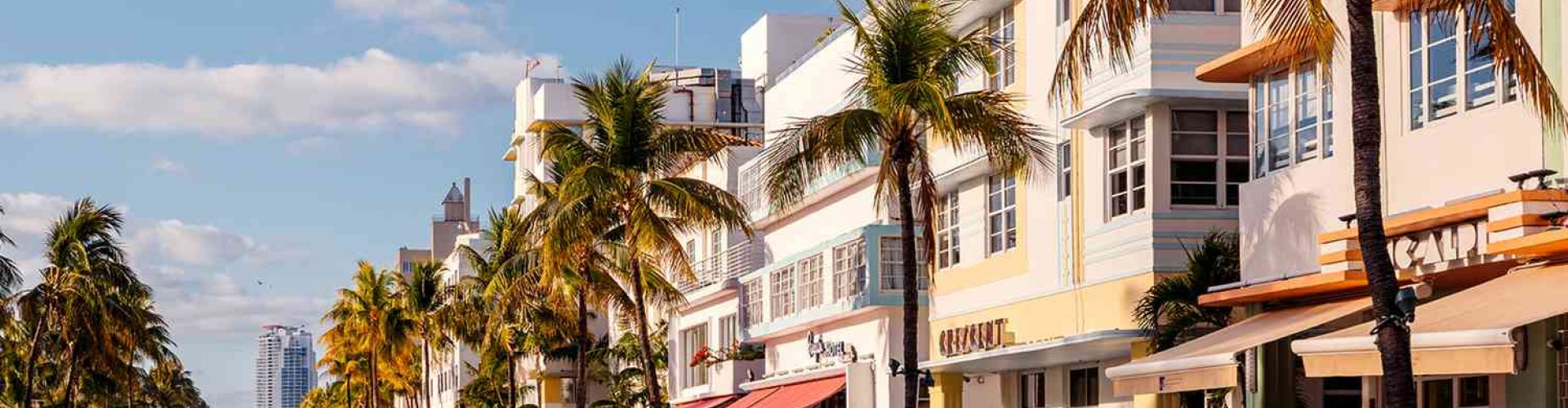 Miami night skyline with parked cars