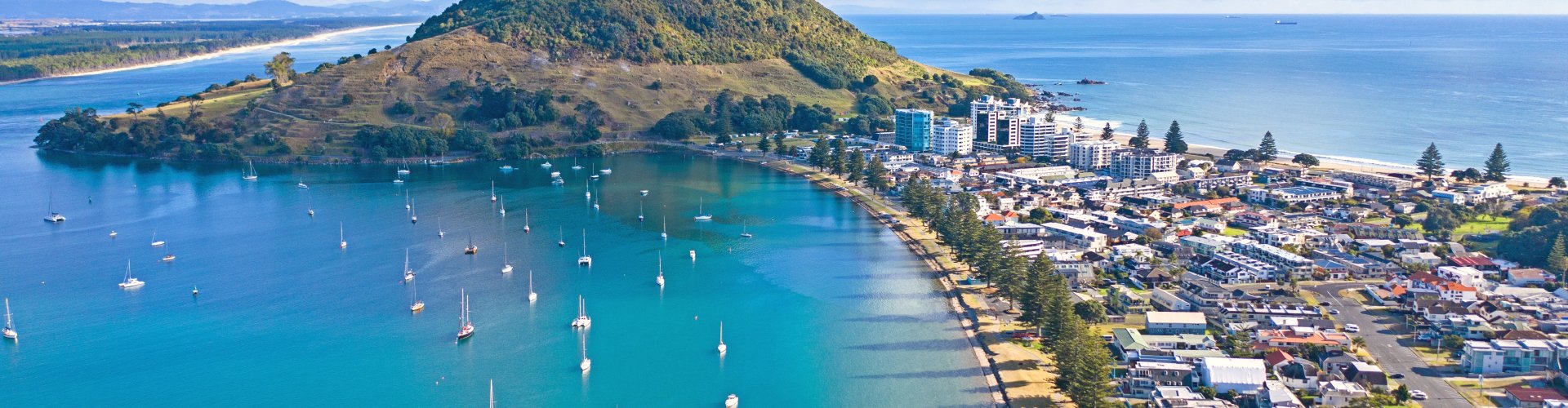 Tauranga night skyline with parked cars