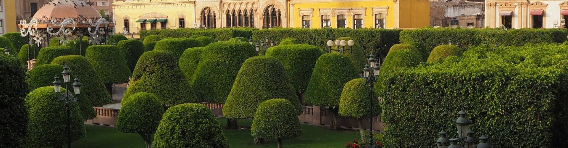 León night skyline with parked cars
