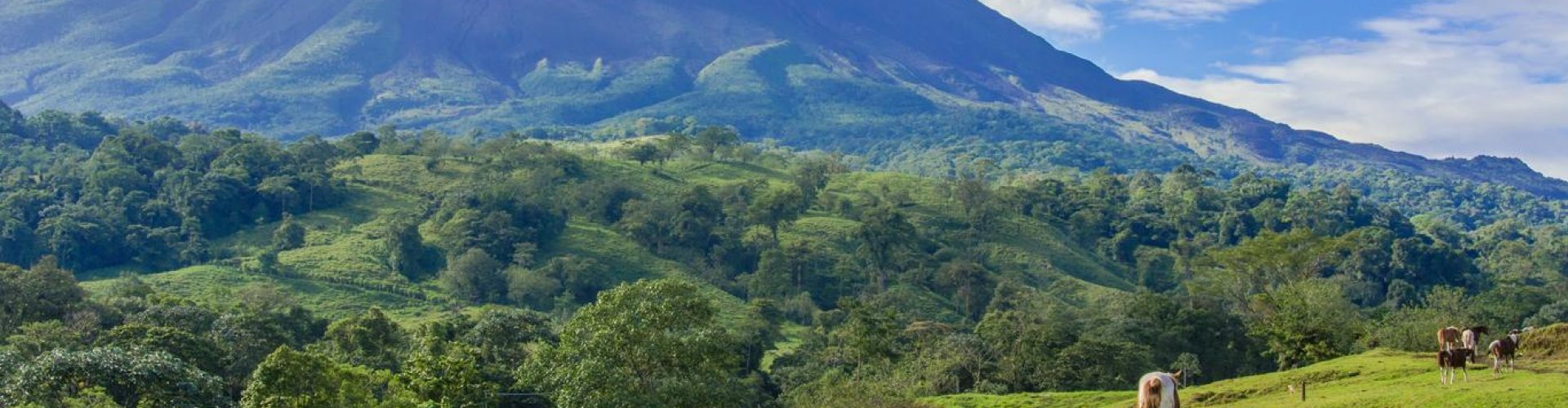 Alajuela, CR