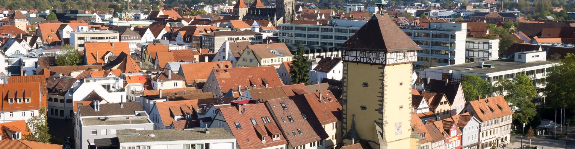 Reutlingen Night Skyline with Parked Cars