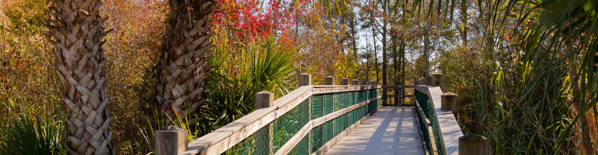 Niceville night skyline with parked cars