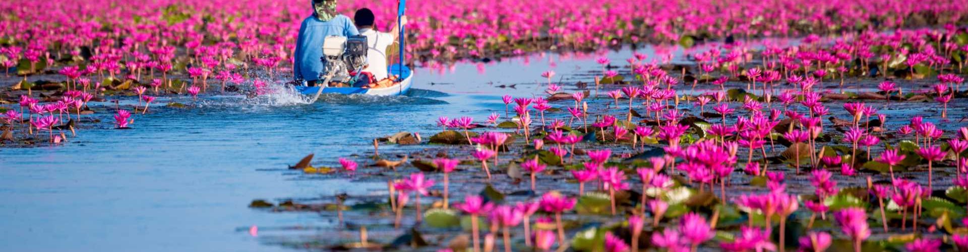 Night skyline with parked cars in Udon Thani, TH